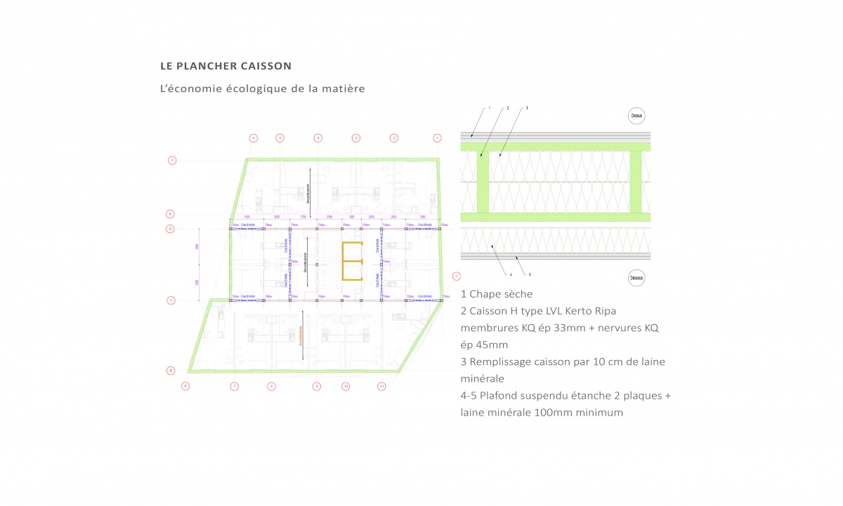 Conception et ralisation d'un immeuble de 99 logements en structure bois. Paris 14e : Composition plancher