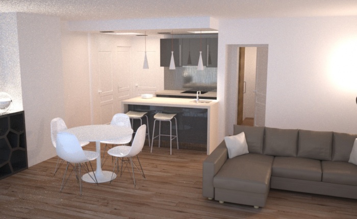 Réaménagement d'un appartement parisien
